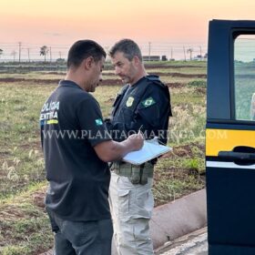 Fotos de Mulher morre após cair de moto e ser atropelada por vários veículos em Maringá