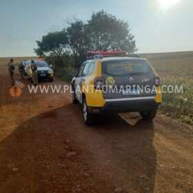 Fotos de Homem é encontrado morto com marcas de tiros na zona rural de Maringá