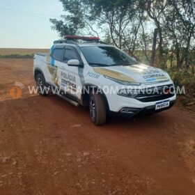 Fotos de Homem é encontrado morto com marcas de tiros na zona rural de Maringá