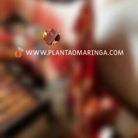 Fotos de Homem morto e que teve o coração arrancado é identificado 