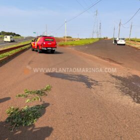 Fotos de Homem sofre ferimentos graves ao ser atropelado por caminhão em Maringá