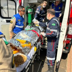 Fotos de Homem suspeito de matar uma pessoa em Maringá é baleado na nuca em Mandaguaçu