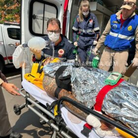 Fotos de Homem suspeito de matar uma pessoa em Maringá é baleado na nuca em Mandaguaçu