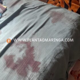 Fotos de Homem sofre duas tentativas de homicídio em um único dia em Maringá