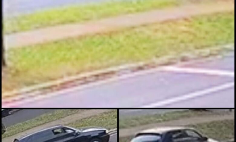Polícia busca identificar motorista responsável por grave acidente em Maringá Foto 1 Fotos de Polícia busca identificar motorista responsável por grave acidente em Maringá