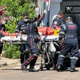 Suspeito de integrar quadrilha de roubo de caminhonete Hilux é baleado em confronto com a Polícia Militar em Sarandi Foto 13 Fotos de Suspeito de integrar quadrilha de roubo de caminhonete Hilux é baleado em confronto com a Polícia Militar em Sarandi