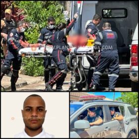 Suspeito de integrar quadrilha de roubo de caminhonete Hilux é baleado em confronto com a Polícia Militar em Sarandi Foto 14 Fotos de Suspeito de integrar quadrilha de roubo de caminhonete Hilux é baleado em confronto com a Polícia Militar em Sarandi