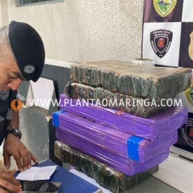 Fotos de Dezessete pessoas são presas durante operação policial em Maringá e região