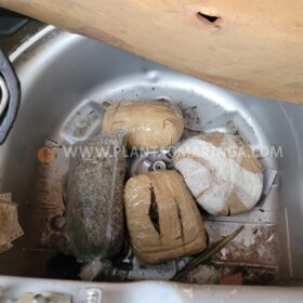 Fotos de Mega Operação das forças de segurança é realizada em Maringá e Sarandi
