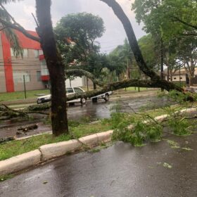 Fotos de Tenda desaba com forte chuva e deixa 8 pessoas feridas em Maringá 