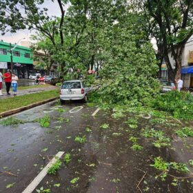 Fotos de Tenda desaba com forte chuva e deixa 8 pessoas feridas em Maringá 