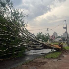 Fotos de Tenda desaba com forte chuva e deixa 8 pessoas feridas em Maringá 