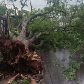 Fotos de Tenda desaba com forte chuva e deixa 8 pessoas feridas em Maringá 