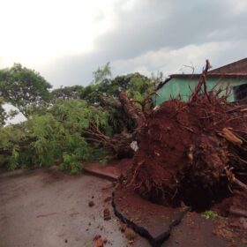 Fotos de Tenda desaba com forte chuva e deixa 8 pessoas feridas em Maringá 