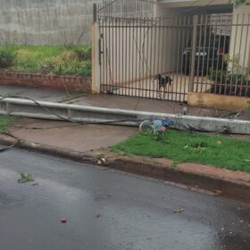 Fotos de Tenda desaba com forte chuva e deixa 8 pessoas feridas em Maringá 