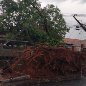 Fotos de Tenda desaba com forte chuva e deixa 8 pessoas feridas em Maringá 