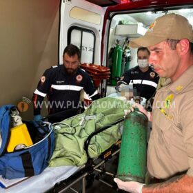 Fotos de Menino de 5 anos é intubado após se afogar em piscina em Sarandi