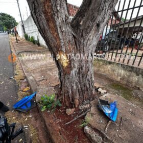 Fotos de Morre motociclista que bateu em árvore ao tentar fugir da polícia em Maringá 