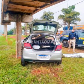 Fotos de Motorista morre ao bater em coluna de passarela em Maringá