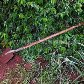 Rotam encontra jovens cavando cova e localiza corpo de travesti em Sarandi Foto 1 Fotos de Rotam encontra jovens cavando cova e localiza corpo de travesti em Sarandi