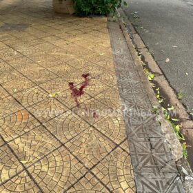 Fotos de Vídeo mostra ex-marido arrastando mulher com carro em Maringá 