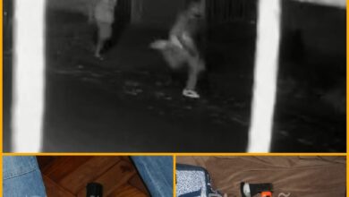 Fotos de Câmera de segurança registra vitimas baleadas fugindo da casa onde atirador matou três em ceia de Natal em Maringá