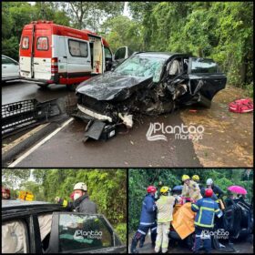 Carro de luxo fica destruído após bater contra árvore em Maringá Foto 1 Fotos de Carro de luxo fica destruído após bater contra árvore em Maringá