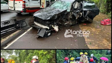 Fotos de Carro de luxo fica destruído após bater contra árvore em Maringá