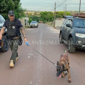 Fotos de Denarc cumpre mandados contra suspeitos de tráfico de drogas em Maringá e região  