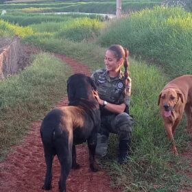 Policial Militar Ambiental é encontrada morta em apartamento em Maringá Foto 1 Fotos de Policial Militar Ambiental é encontrada morta em apartamento em Maringá
