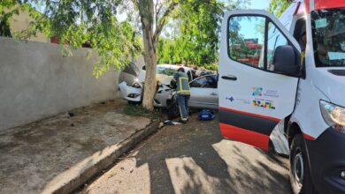 Fotos de Duas mulheres e uma criança sofreram ferimentos graves após carro bater em árvore