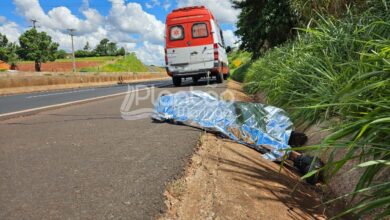 Fotos de Homem é encontrado morto às margens da rodovia BR-376