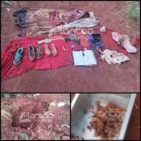 Polícia Militar encontra ossada humana na região de Maringá Foto 1 Fotos de Polícia Militar encontra ossada humana na região de Maringá