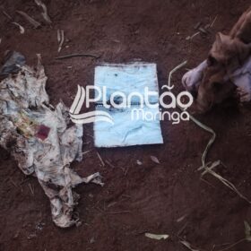 Fotos de Polícia Militar encontra ossada humana na região de Maringá 