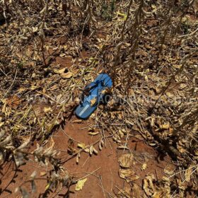 Fotos de Identificados os dois indivíduos que morreram em confronto com a Choque Maringá 