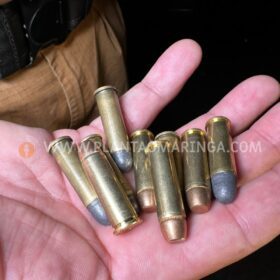 Fotos de Forças de segurança de Sarandi apreende arma de fogo em festa clandestina 