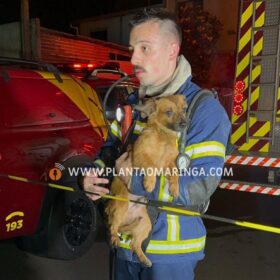 Fotos de Homem fica ferido durante incêndio em residência em Sarandi