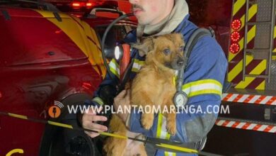 Fotos de Homem fica ferido durante incêndio em residência em Sarandi