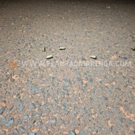 Jovem é baleado em frente à casa da mãe em Maringá Foto 1 Fotos de Jovem é baleado em frente à casa da mãe em Maringá