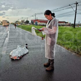 Fotos de Mulher morre após ser atropelada por carro conduzido por padre em Maringá