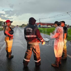 Fotos de Mulher morre após ser atropelada por carro conduzido por padre em Maringá