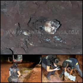 Parte de ossada humana é encontrada na Zona Rural de Maringá Foto 1 Fotos de Parte de ossada humana é encontrada na Zona Rural de Maringá