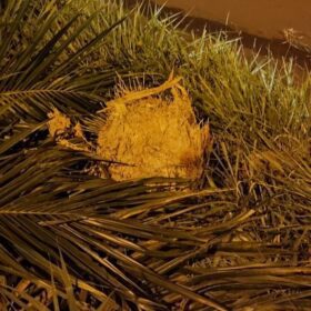Fotos de Homem morre após grave acidente de trânsito, em Maringá.