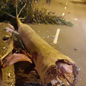 Fotos de Homem morre após grave acidente de trânsito, em Maringá.