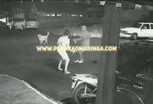 Fotos de Imagens mostram homem sendo esfaqueado em Maringá