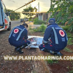 Fotos de Jovem de 21 anos é encontrado morto com tiro na nuca em Sarandi