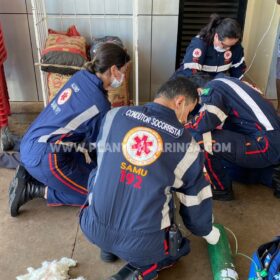 Fotos de Câmera de segurança flagra momento em que homem é esfaqueado por colega de trabalho, em Maringá.