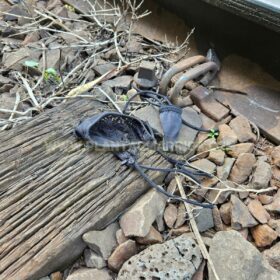 Fotos de Mulher é encontrada morta na linha férrea em Sarandi.
