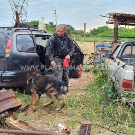 Fotos de Polícia Civil cumpre mandados em operação contra grupo de Nego Fi, em Sarandi