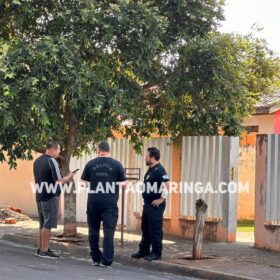 Fotos de Policial Militar é baleado e bandido morre em confronto durante ação contra tráfico de drogas na região de Maringá